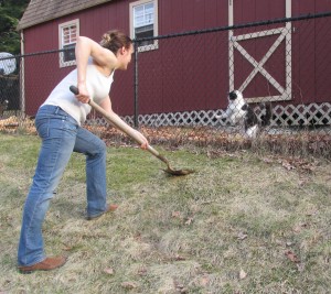 While lugging around five pounds of excrement, even the cat seems to mock you.