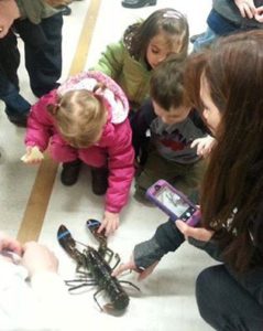 Anna’s favorite field trip at preschool this year was a guided tour through Fitzgerald’s Foods. Although I surprised myself by having a delightful, non-teeth gnashing experience in a grocery store, something didn’t sit right with me about their petting zoo.